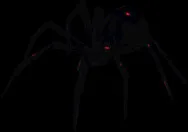 Colossal Black Widow
