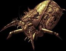 Kraul Hivemother