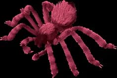 Phase Spider Mirror