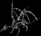 Skeletal Dragon