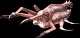 The Insatiable Maw