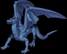 Water Dragon