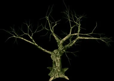 Wildwood Reaper