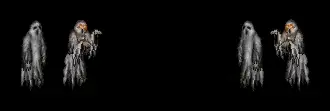 2020/10/2020 10 09 13 29 16
