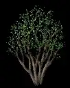 HDizwx9.gif