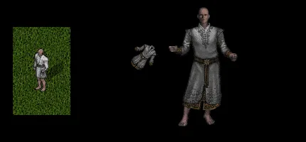VV65FLR.png