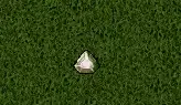 LbF4AhX.gif