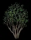 HDizwx9.gif