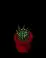 JI5WVZk.gif