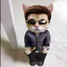 DiscordCat