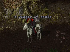zrsPgrP.png