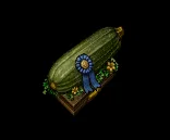 largestzucchiniprize.png