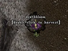 6xaQ9Nr.png