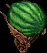 1stplacewatermeloncart