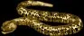 adder