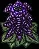 AmethystPlant