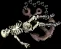 anchoredskeleton