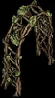 arborealarbor