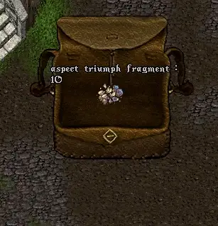 aspecttriumphfragmentstowhole