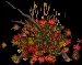 autumndebrispile