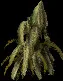 BananaTreeSapling