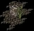 BarnacleInfestation