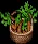basketofcarrots