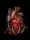 beatingdaemonheart