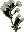 Bellflower