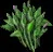Bellgrass
