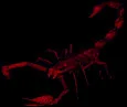bloodscorpion