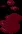 bloodtrail