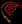 bloodywhip