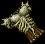 bonechest