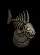 bonefishdisplay1