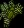 bouquetgarni