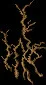 BrambleVine