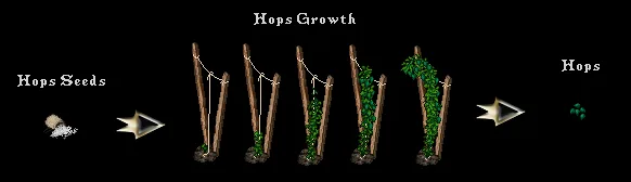 brewinghopsgrowth