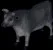 bull