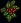 bunchofholly