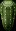 CactusBush4