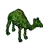cameltopiary
