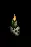 candleinskull1