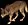caninewolf