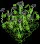 CanopyFlower