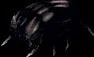 carrionbeetle