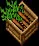 CarrotCrate
