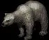cavebear