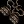 cestus