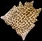 cheetahhiderugaddon